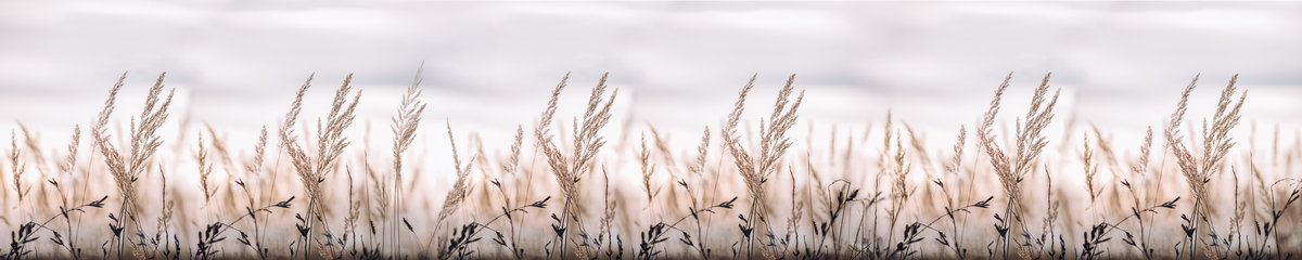 Virtuves panelis dizains SPJ 001